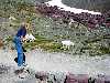 GoatsGlacier_small.jpg